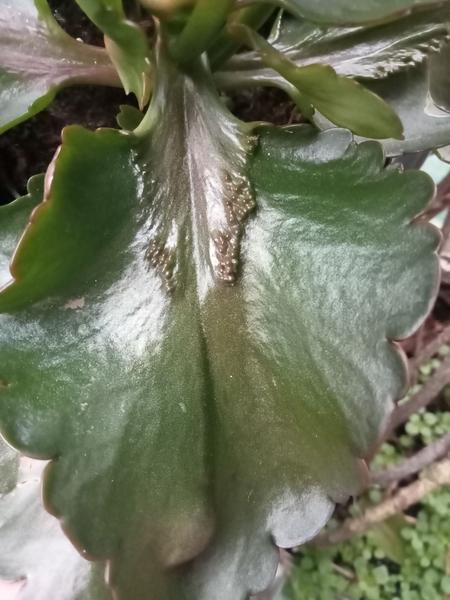 изображение viber 2025 11 28 10 24 51 794