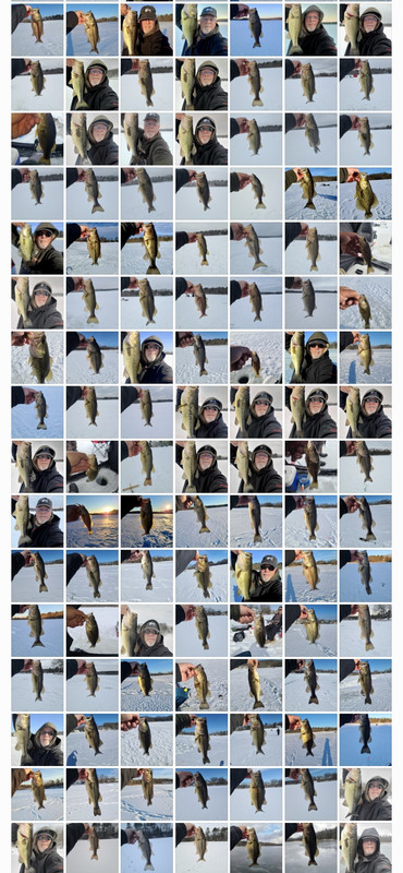 Screenshot 20260322 123728 Gallery