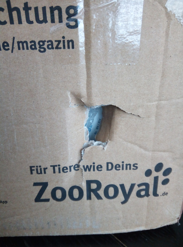 IMG_20191007_124541_1CS