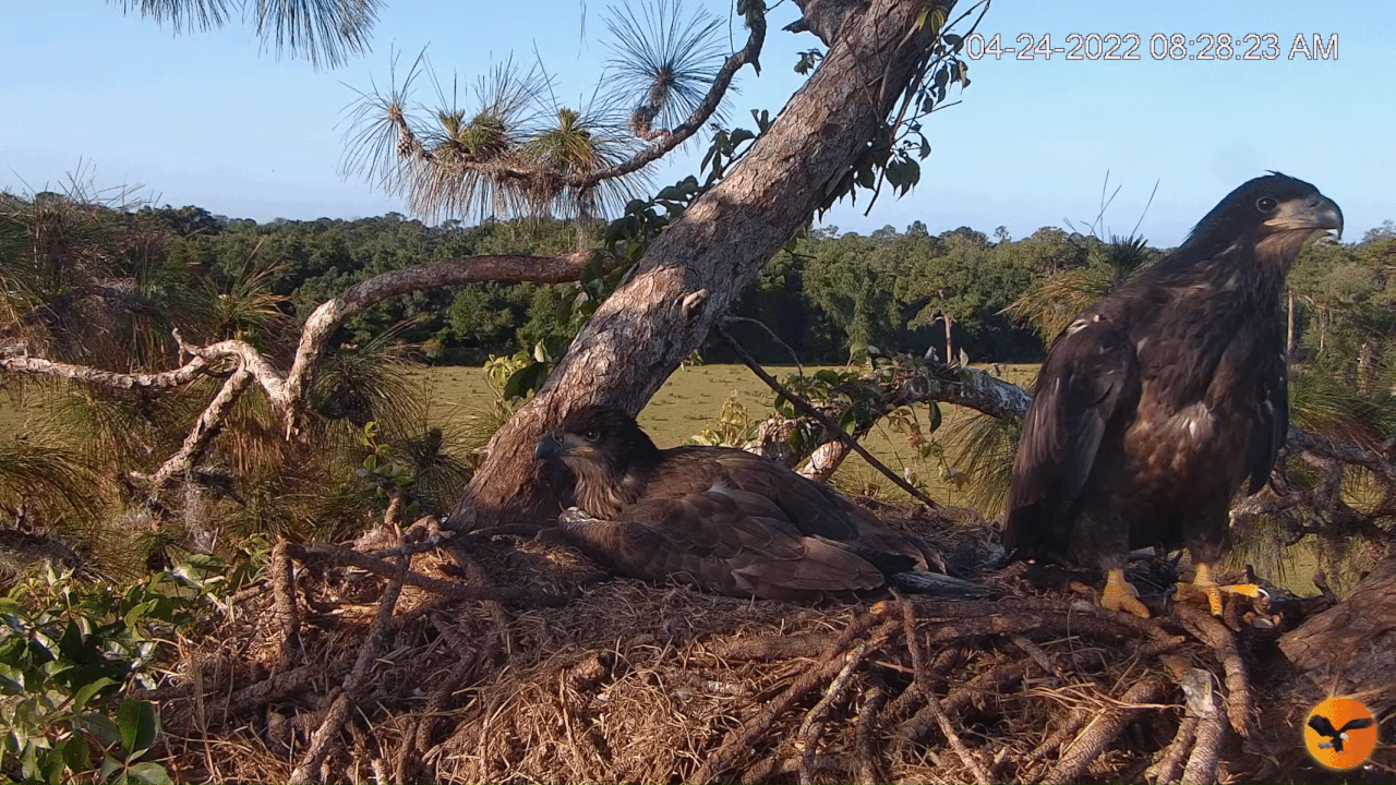 Webp.net-gifmaker (1)