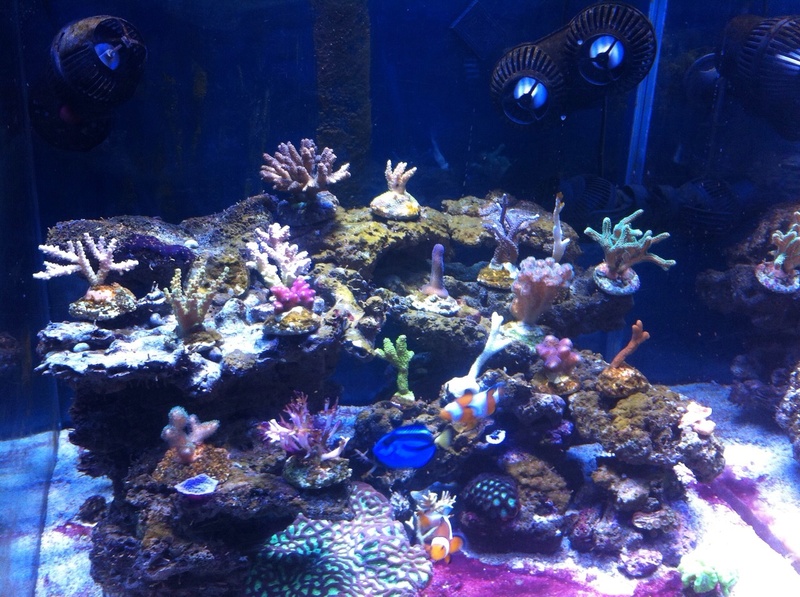 Ah8dTTN2AN8CfLtCZ3UfoQCys2NkVFapUrzGSjkvp4sG