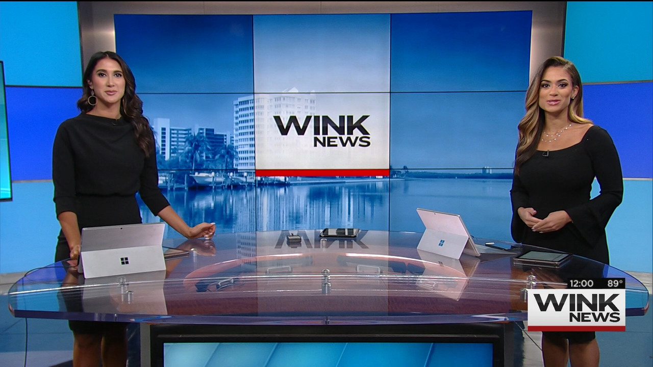 09.04 - 17.00.00 - The WINK Noon News. News..ts_snapshot_06.53.963