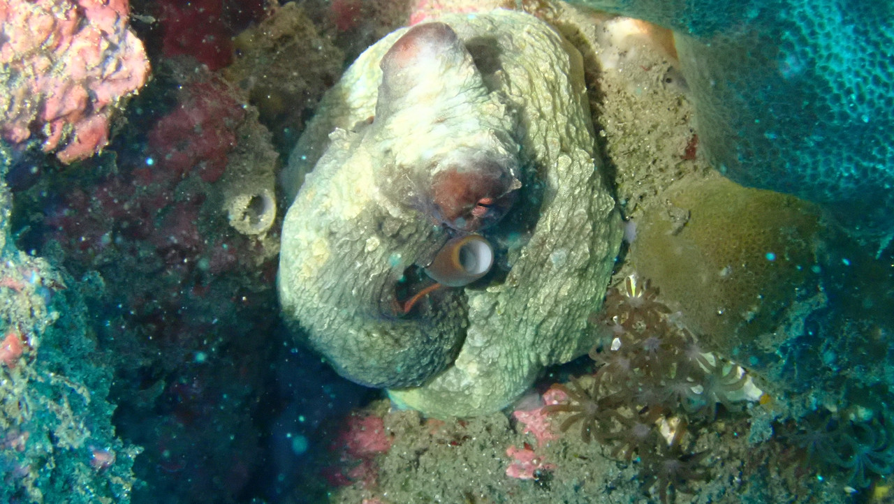 53355C85-52EB-4388-BBC8-0587DBCE27A5