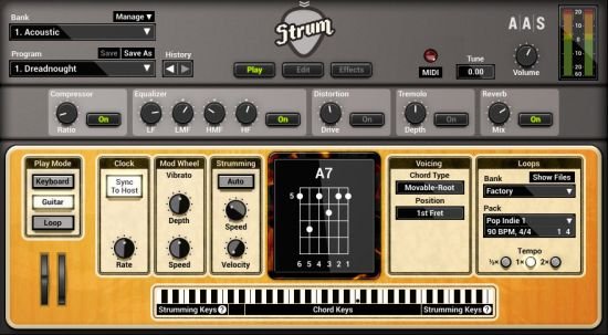 Applied Acoustics Systems Strum GS 2.3.3