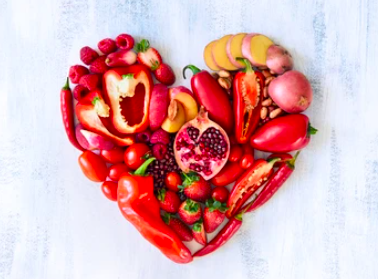 Philosophie Végétale