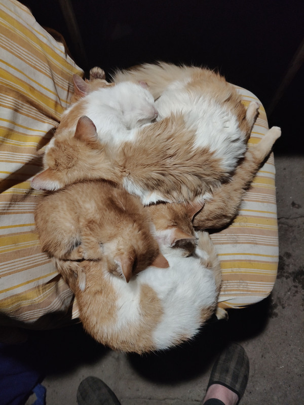 IMG20260519005948.jpg