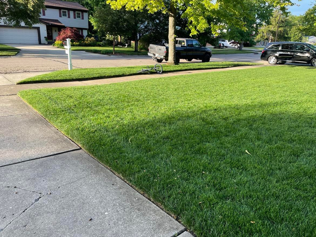 278636623_511798017326006_6473363704309506230_n(1)