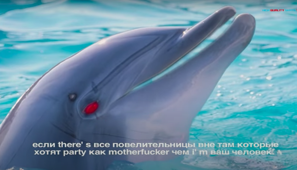 askndifdsdns.png