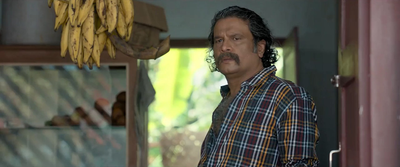 Parannu Parannu Parannu Chellan 2025 WebRip [Malayalam] 480p 720p ESub Screenshot