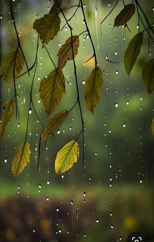 Screenshot_20231217_223228_Pinterest