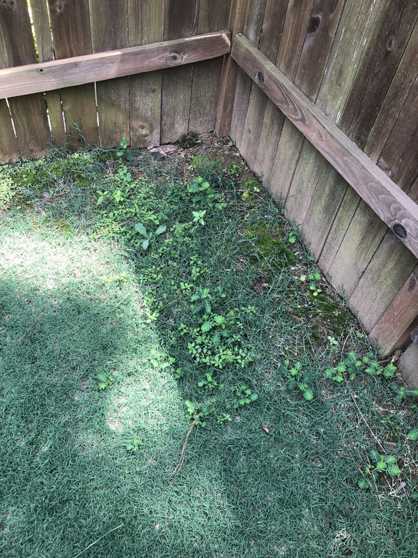 EB7F6DA2-40A5-4763-AE08-F1E8738A86A5