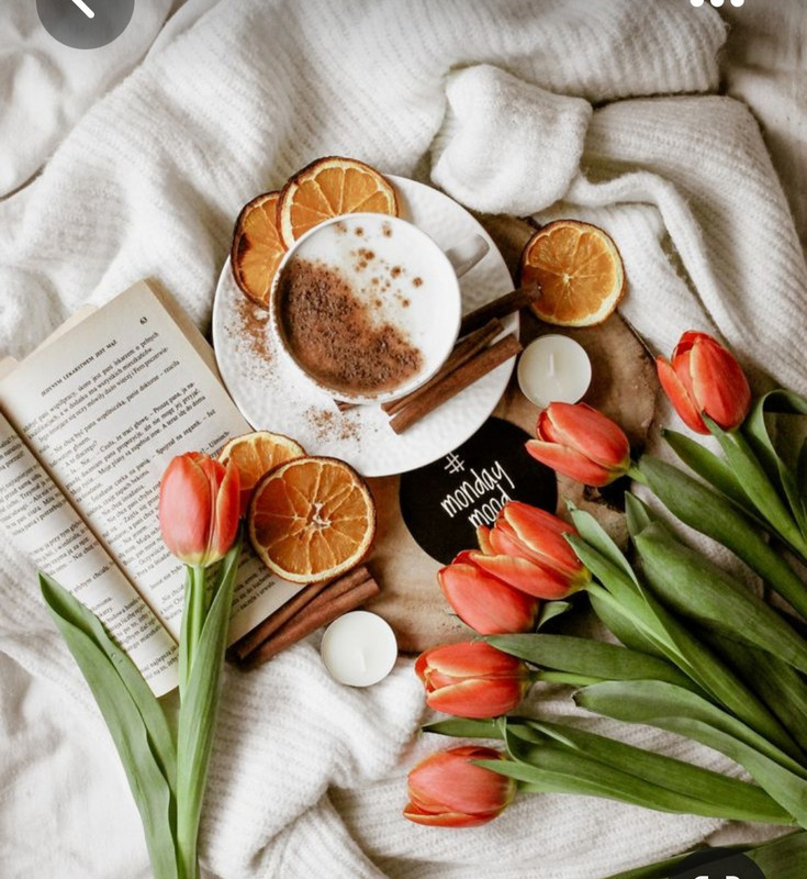 Screenshot_20230421_000413_Pinterest