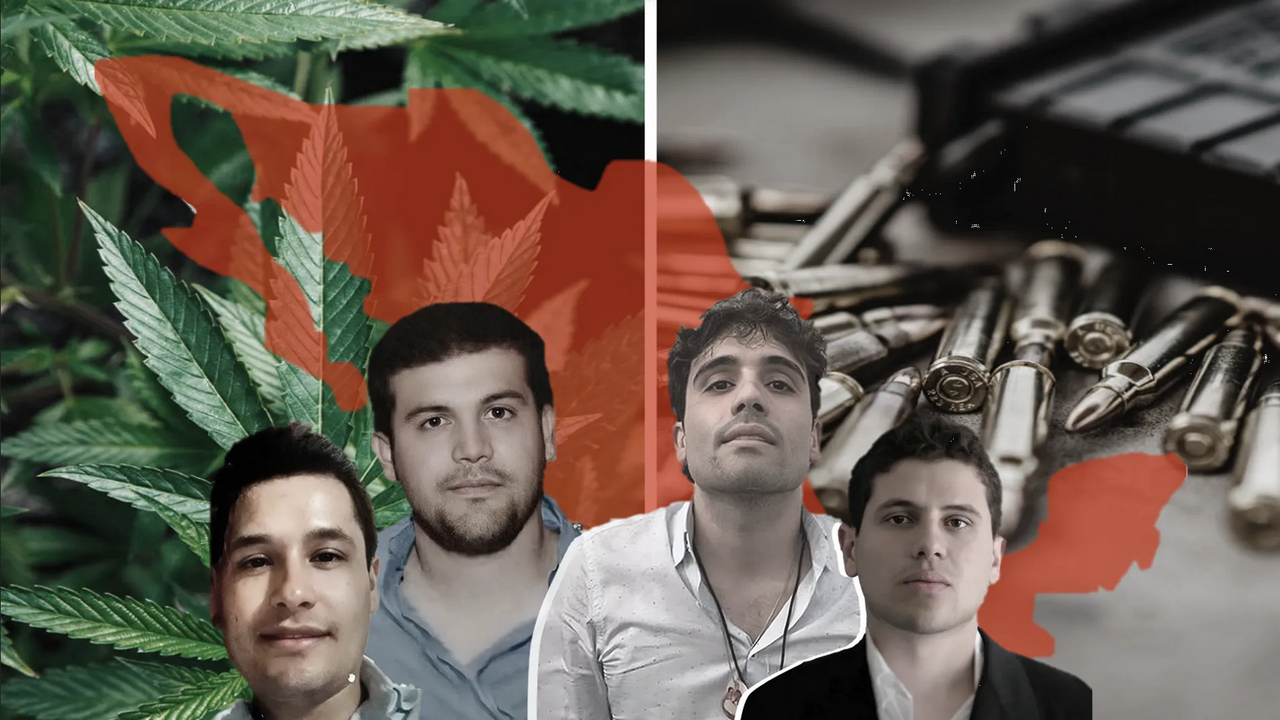 Los Chapitos: Estos son los negocios que conforman su imperio criminal