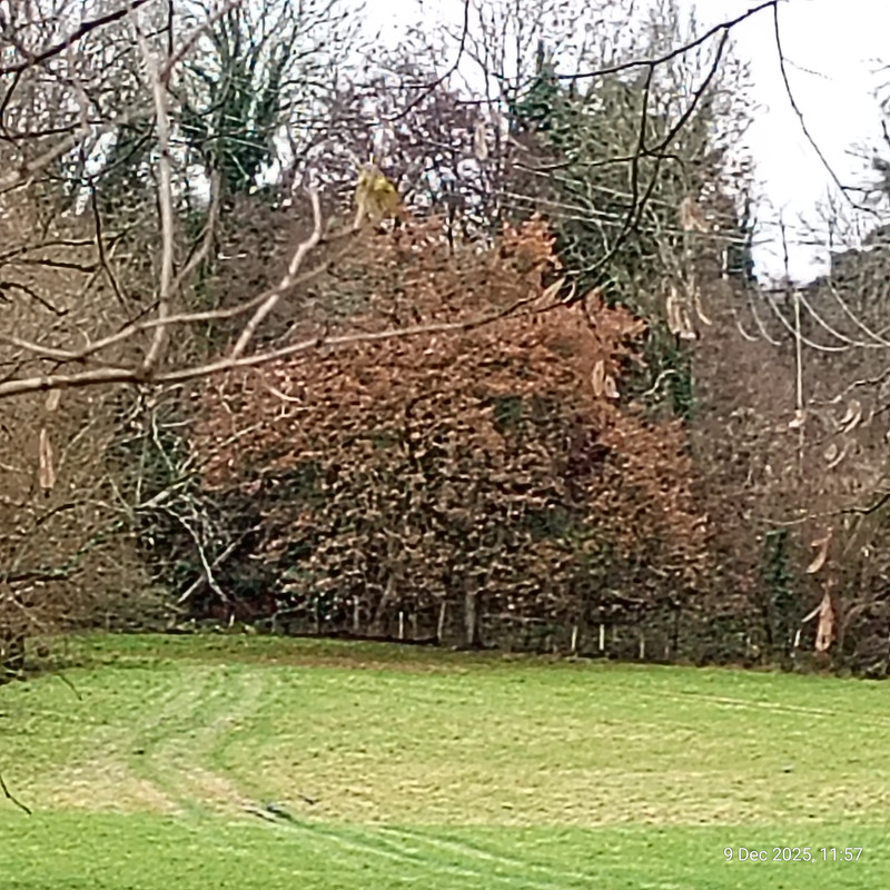 IMG 20251209 115712565 SR