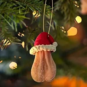 31HgNqothgL._AC_SS300_