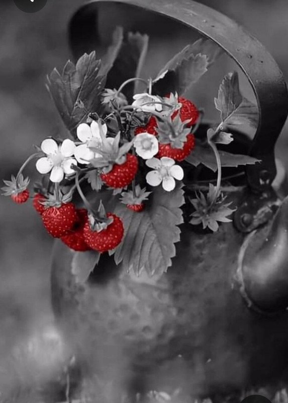 Screenshot_20230702_181818_Pinterest