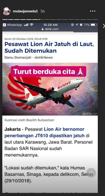 Instagram Story (mulanjameela1)

