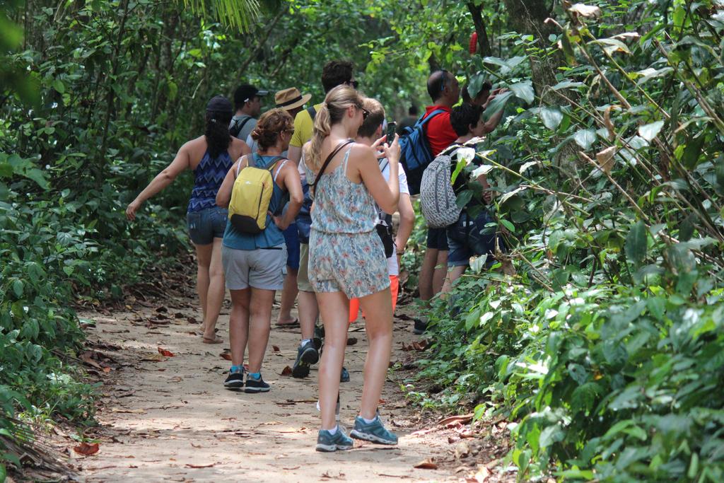 DE TORTUGAS Y PEREZOSOS. COSTA RICA 2019 - Blogs de Costa Rica - DÍA 5: PARQUE NACIONAL CAHUITA (12)