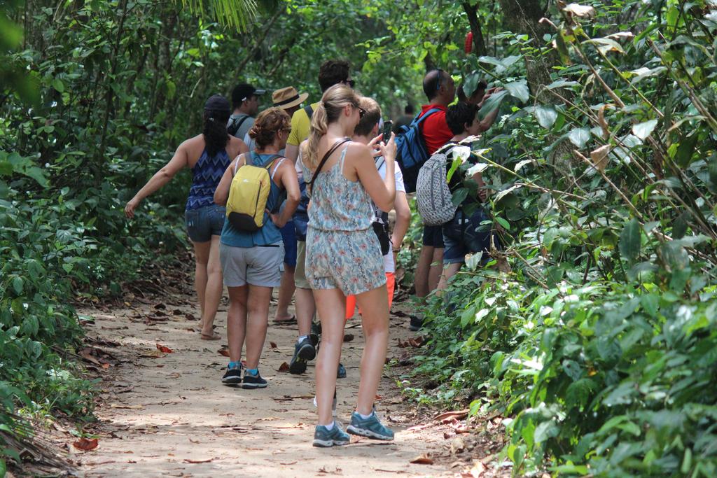 DÍA 5: PARQUE NACIONAL CAHUITA - DE TORTUGAS Y PEREZOSOS. COSTA RICA 2019 (12)