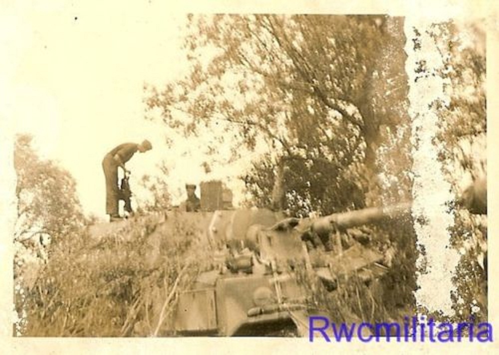 German Ferdinand ELEFANT Panzerjäger Tank Destro