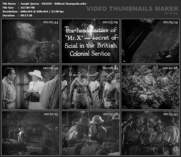 Jungle Queen - S01E04 - Wildcat Stampede.mkv