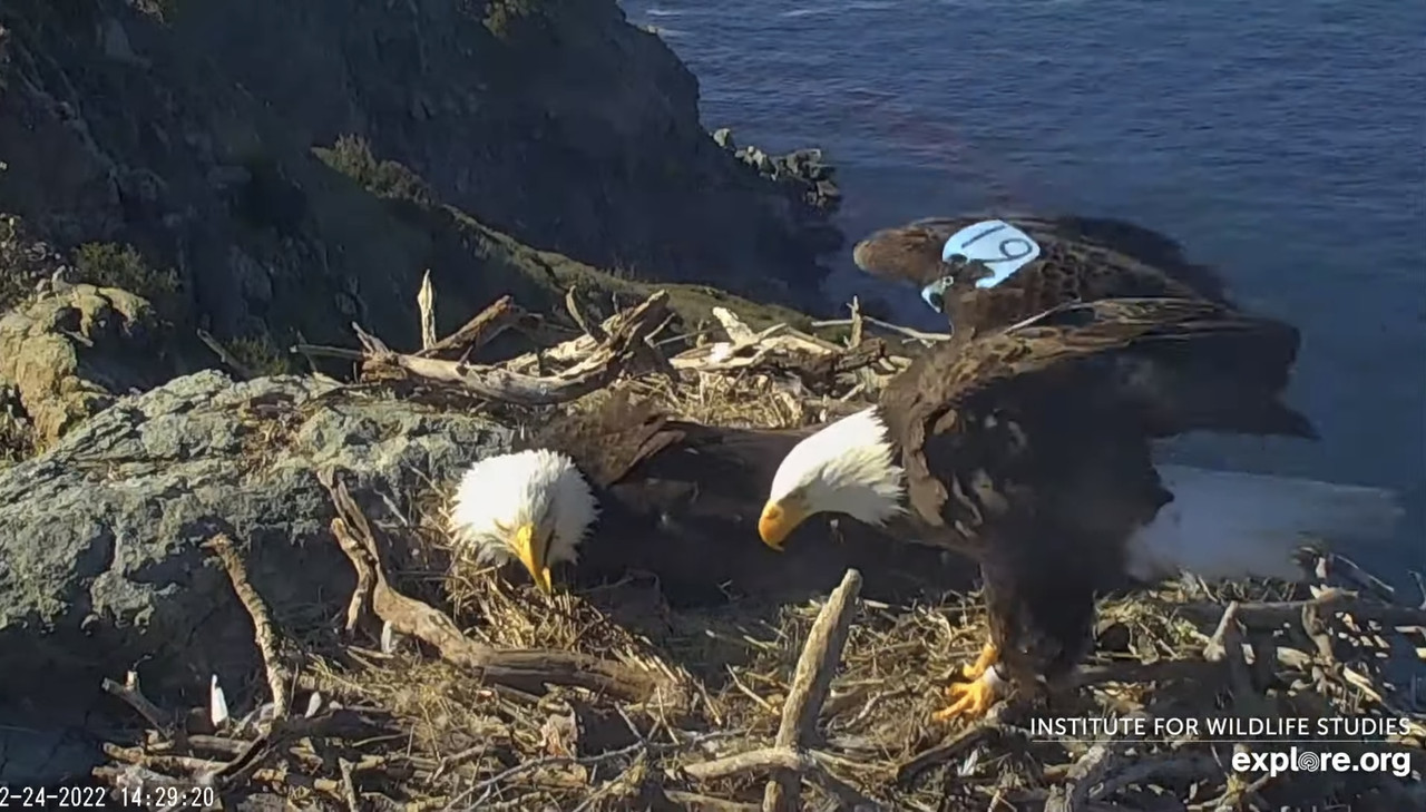 5C858567-5E48-4088-8569-F11D4C9FC5DF