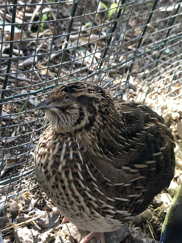 A390268E-53AB-47E0-A099-EC3F29CAC41D