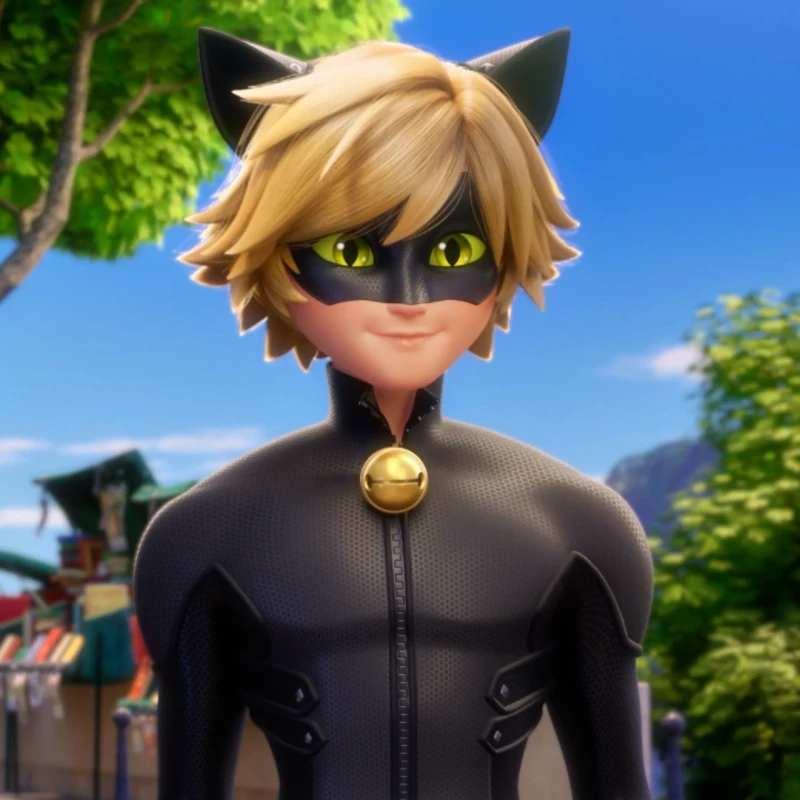 Adrien Agreste Chat Noir