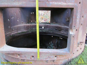 IMG-0101