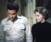 Lola-Albright-a97