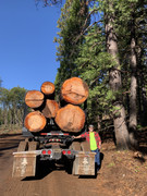 [Image: IMG-4640.jpg]