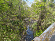 IMG-20260319-151609185-HDR