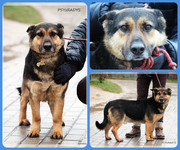 Be-Funky-collage-16.jpg&key=591130133596