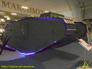 DSCN6441