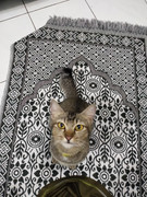 6ea04e94e0a2c204c6ded47159cbf70d