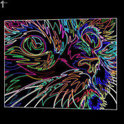 [Image: 58fe-Contour.jpg]