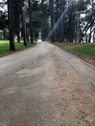 photo_2025-01-31_21-03-31