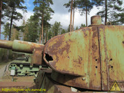 IMG-6443