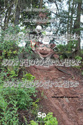 IMG-0308