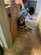 att.WE5Y1mrKGaNyOet5PmqaYS3JVNH3USfMUn7JQrk6N9g