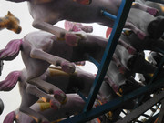 32.7.the amusement park VII