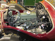 IMG-3566.jpg