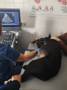 ABCA9101-5057-4068-9CAC-213B3DED93BA