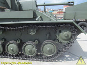 IMG-8136