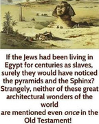 272932452_3150402931953128_1590073213014417153_n