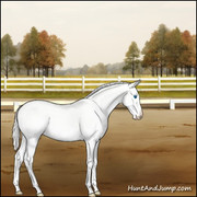 BBST Autumn Dressage Arena