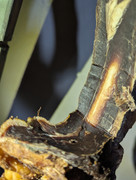 PXL-20250423-142859416