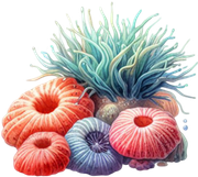 DWD-Fantastic-Water-World-Element-130