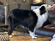 BED041D6-4232-42BC-B797-DF0DD1259315