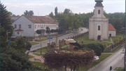 Kép